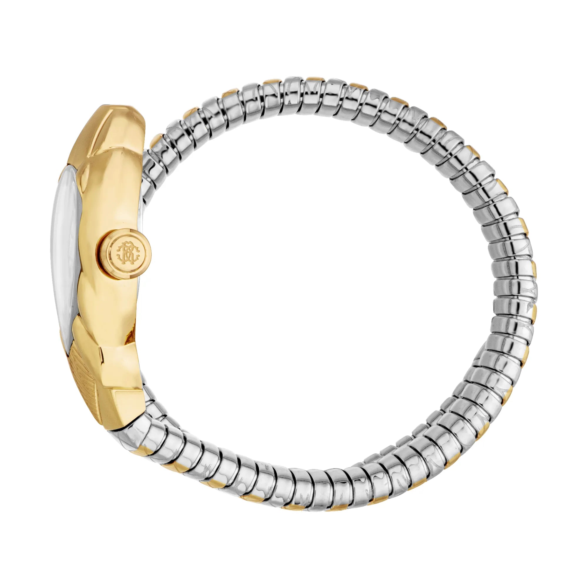 Roberto Cavalli Roberto Cavalli Lady RC5L110M0065 — immagine 3