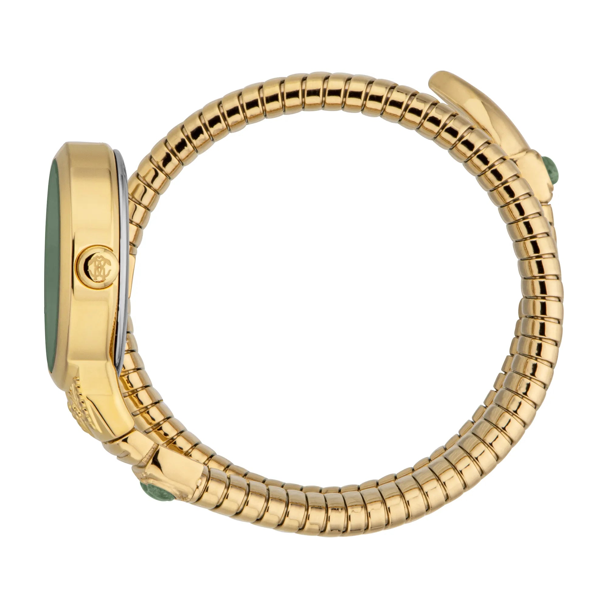 Roberto Cavalli Roberto Cavalli Lady RC5L104M0025 — immagine 3