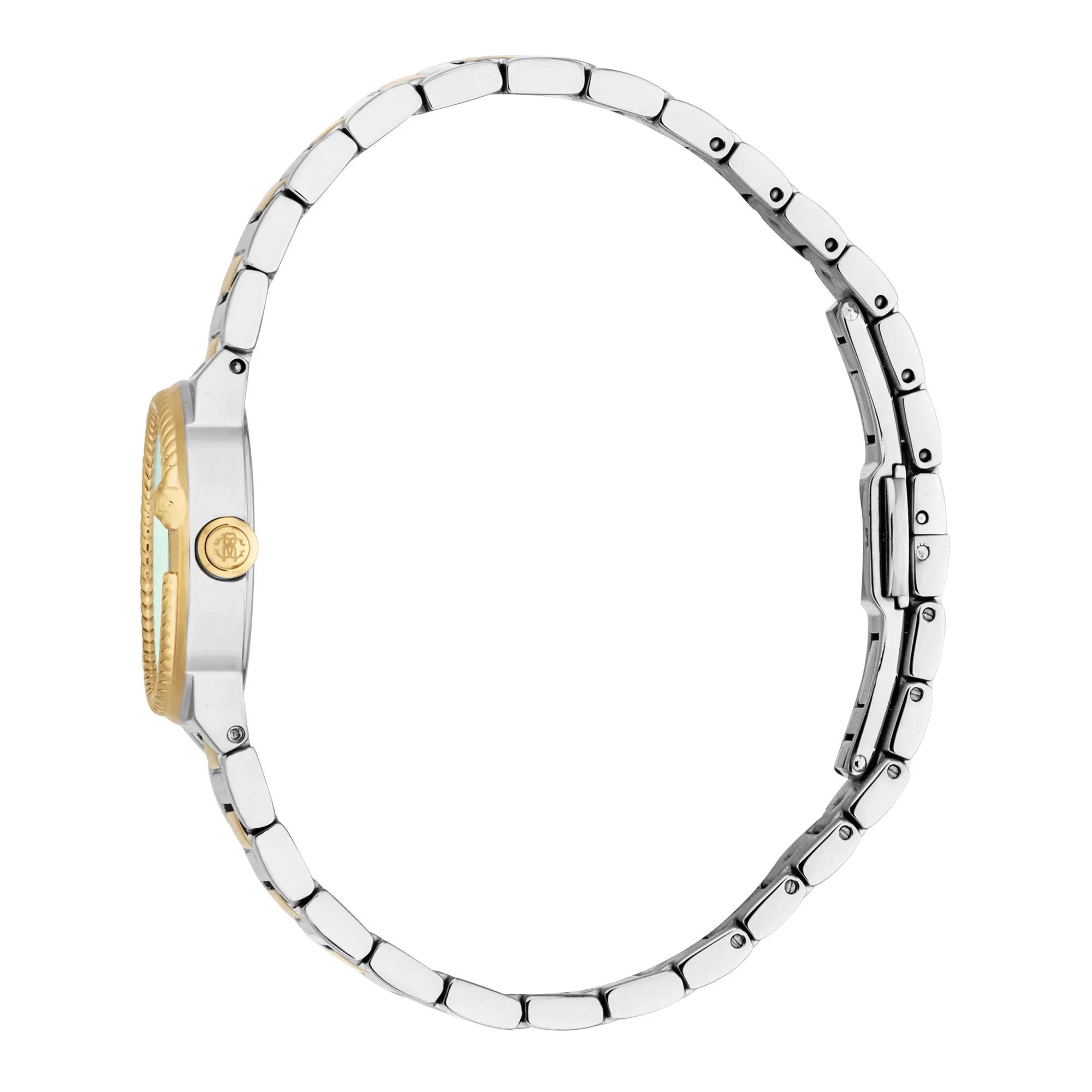 Roberto Cavalli Roberto Cavalli Lady RC5L117M0065 — immagine 3