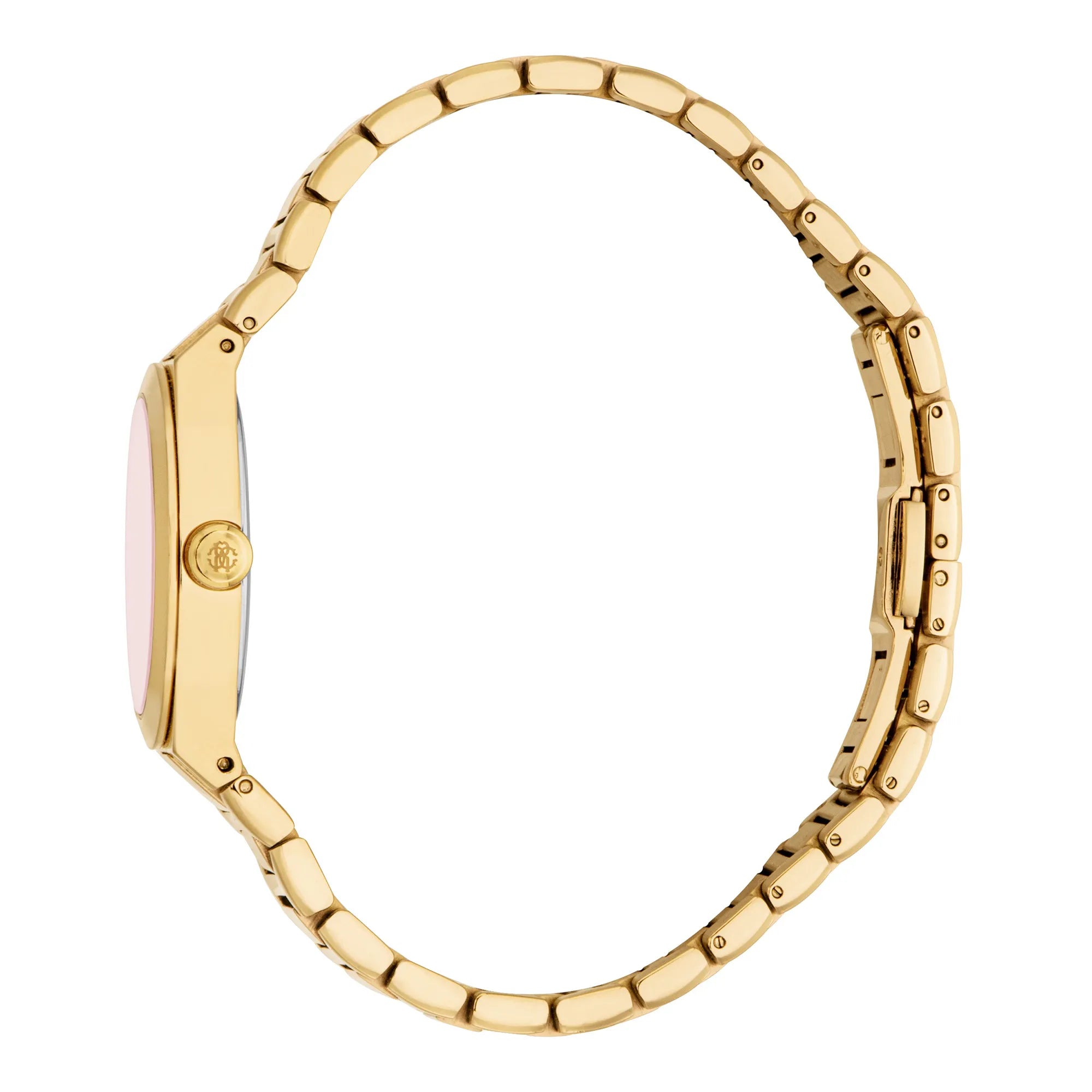 Roberto Cavalli Roberto Cavalli Lady RC5L126M0035 — immagine 3